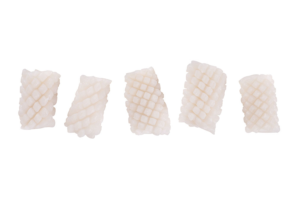 Tintenfisch "Matsukasa"