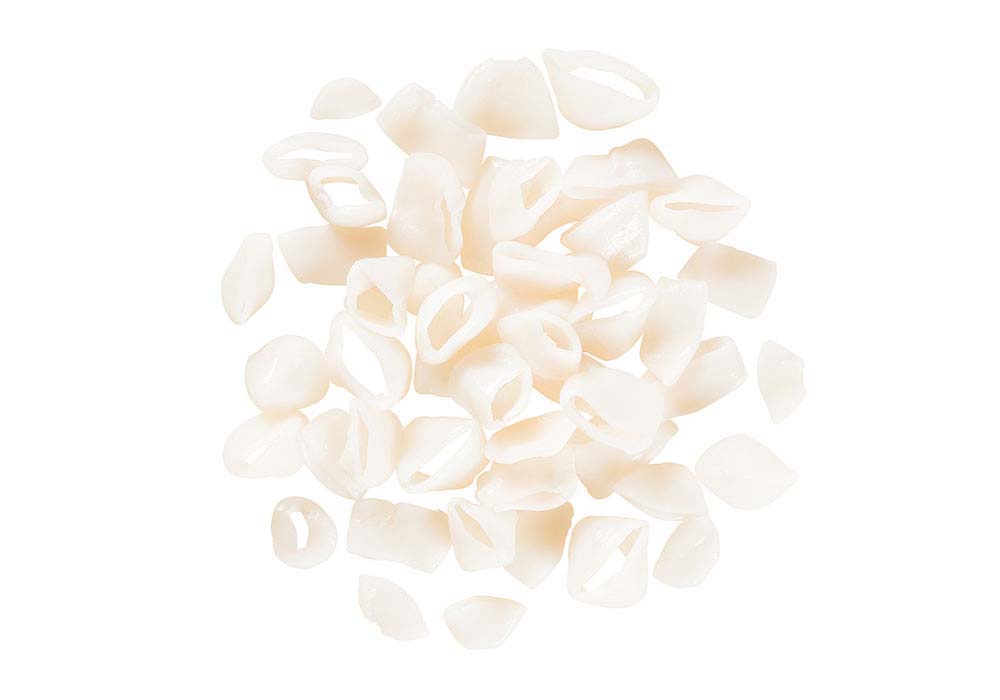 Tintenfischringe natur