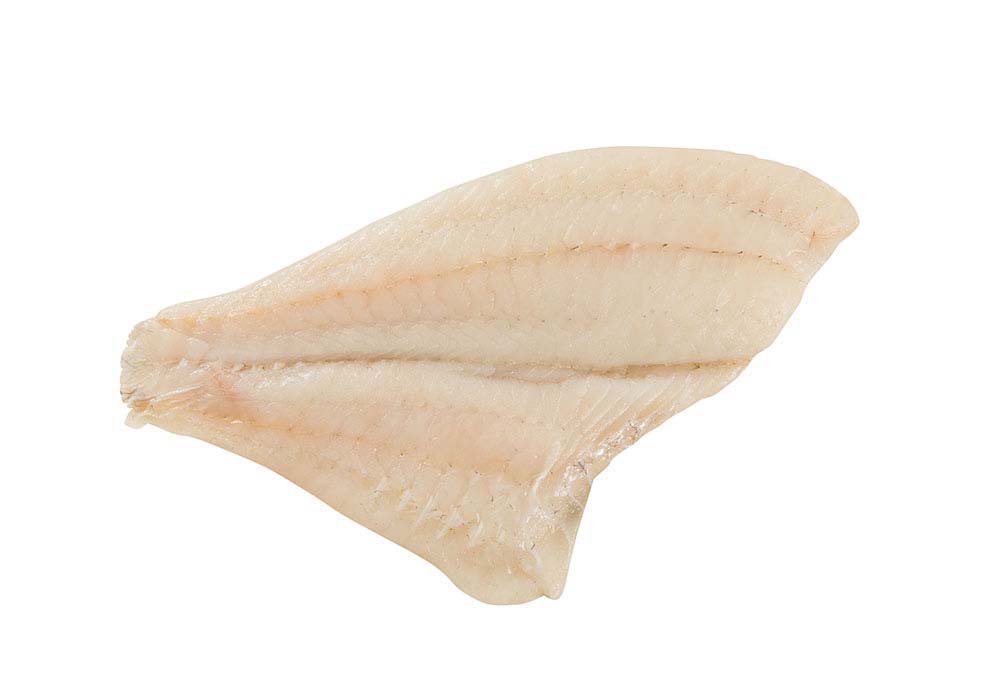 Turbot fillet